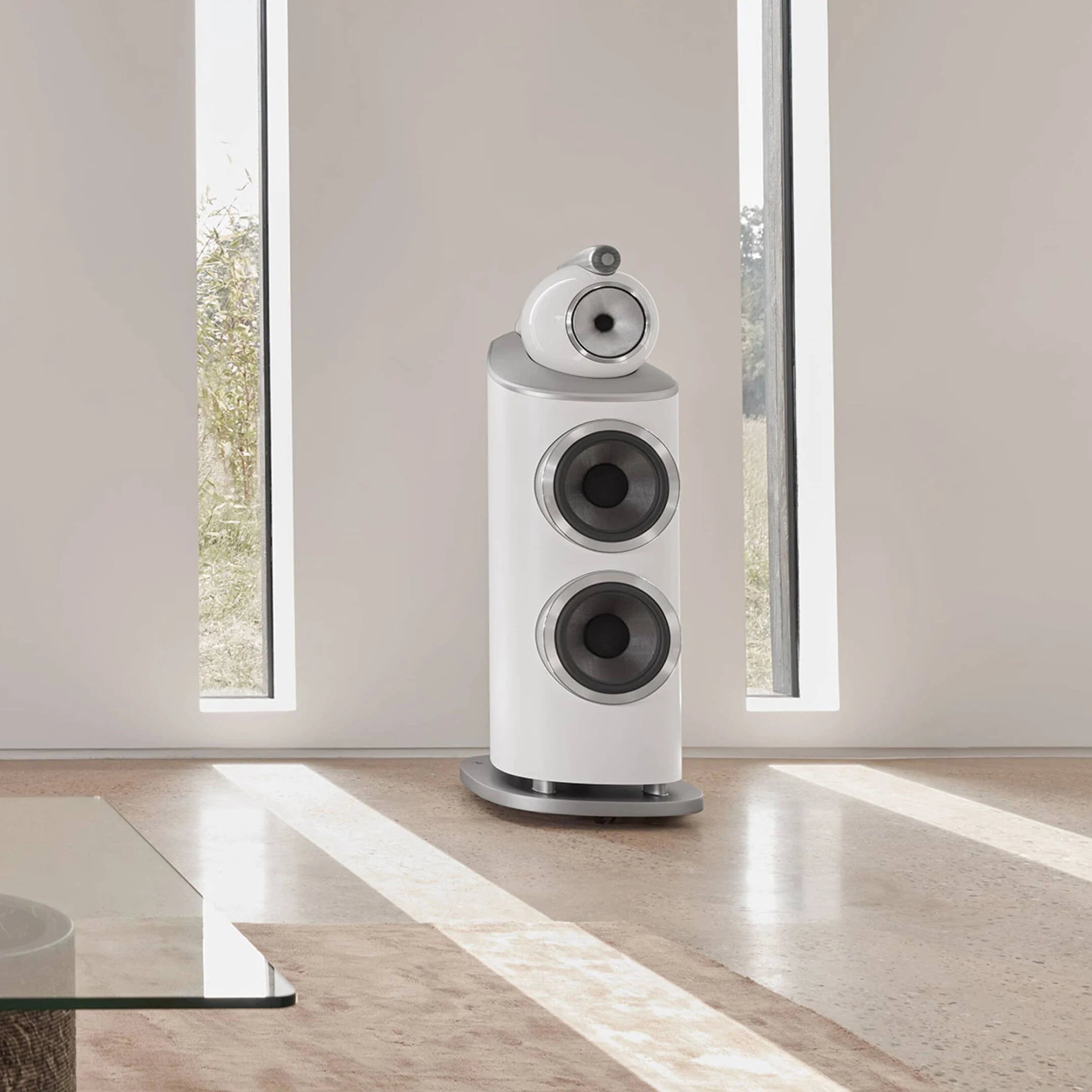 Bowers & Wilkins 801 D4